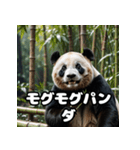 ゆるかわパンダの感情大集合！（個別スタンプ：31）