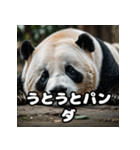 ゆるかわパンダの感情大集合！（個別スタンプ：35）