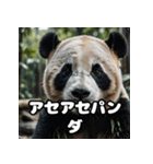 ゆるかわパンダの感情大集合！（個別スタンプ：36）