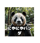 ゆるかわパンダの感情大集合！（個別スタンプ：37）