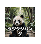ゆるかわパンダの感情大集合！（個別スタンプ：38）