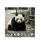 レトロな味わいヴィンテージパンダ大集合★（個別スタンプ：3）