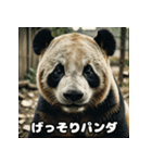 レトロな味わいヴィンテージパンダ大集合★（個別スタンプ：13）