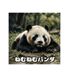 レトロな味わいヴィンテージパンダ大集合★（個別スタンプ：17）