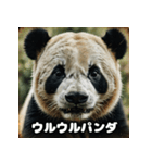 レトロな味わいヴィンテージパンダ大集合★（個別スタンプ：19）