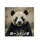 レトロな味わいヴィンテージパンダ大集合★（個別スタンプ：22）