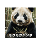 レトロな味わいヴィンテージパンダ大集合★（個別スタンプ：31）