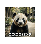 レトロな味わいヴィンテージパンダ大集合★（個別スタンプ：34）