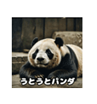 レトロな味わいヴィンテージパンダ大集合★（個別スタンプ：35）