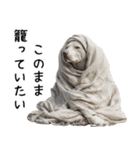 かわいそう・犬の情けない姿[友達へのネタ]（個別スタンプ：26）