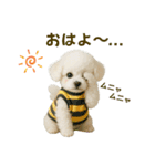 【AI】ふわもこ白いトイプードル2（個別スタンプ：1）