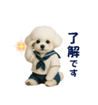 【AI】ふわもこ白いトイプードル2（個別スタンプ：4）