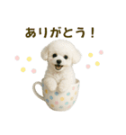 【AI】ふわもこ白いトイプードル2（個別スタンプ：6）