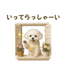 【AI】ふわもこ白いトイプードル2（個別スタンプ：7）