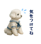 【AI】ふわもこ白いトイプードル2（個別スタンプ：9）