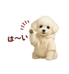【AI】ふわもこ白いトイプードル2（個別スタンプ：12）