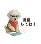 【AI】ふわもこ白いトイプードル2（個別スタンプ：15）