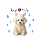 【AI】ふわもこ白いトイプードル2（個別スタンプ：25）