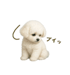 【AI】ふわもこ白いトイプードル2（個別スタンプ：26）