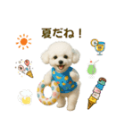 【AI】ふわもこ白いトイプードル2（個別スタンプ：30）