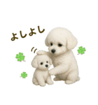 【AI】ふわもこ白いトイプードル2（個別スタンプ：35）