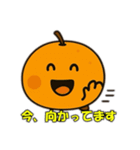 蜜柑のささやき（個別スタンプ：1）