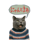 よろしゅうくり～むR（個別スタンプ：14）