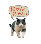よろしゅうくり～むR（個別スタンプ：19）