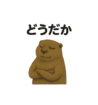 うざいマーモット（個別スタンプ：31）
