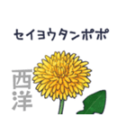 タンポポだと思った？（個別スタンプ：7）