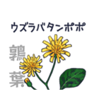タンポポだと思った？（個別スタンプ：16）