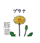 タンポポだと思った？（個別スタンプ：18）