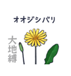 タンポポだと思った？（個別スタンプ：24）