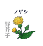 タンポポだと思った？（個別スタンプ：25）
