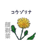 タンポポだと思った？（個別スタンプ：27）