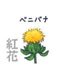 タンポポだと思った？（個別スタンプ：33）