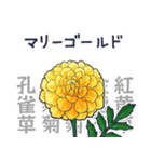 タンポポだと思った？（個別スタンプ：34）