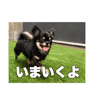がんこファミリー（個別スタンプ：2）