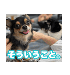 がんこファミリー（個別スタンプ：7）