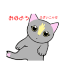 いえちぃスタンプ 家族連絡用2 グレーの猫（個別スタンプ：1）