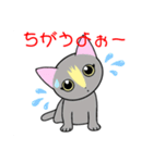 いえちぃスタンプ 家族連絡用2 グレーの猫（個別スタンプ：12）