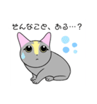 いえちぃスタンプ 家族連絡用2 グレーの猫（個別スタンプ：15）