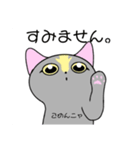 いえちぃスタンプ 家族連絡用2 グレーの猫（個別スタンプ：16）
