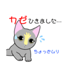 いえちぃスタンプ 家族連絡用2 グレーの猫（個別スタンプ：32）