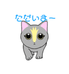 いえちぃスタンプ 家族連絡用2 グレーの猫（個別スタンプ：37）