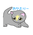 いえちぃスタンプ 家族連絡用2 グレーの猫（個別スタンプ：38）