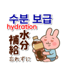韓国語,日本語,英語 夏連絡用,お仕事日常に（個別スタンプ：11）