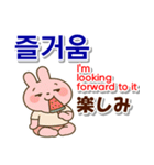 韓国語,日本語,英語 夏連絡用,お仕事日常に（個別スタンプ：22）