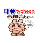 韓国語,日本語,英語 夏連絡用,お仕事日常に（個別スタンプ：26）