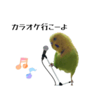 セキセイインコ とりちゃんの日常②（個別スタンプ：4）